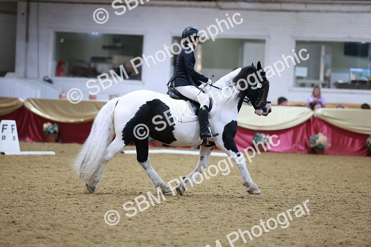 SBM_09960 - Class 61 - Dressage to Music