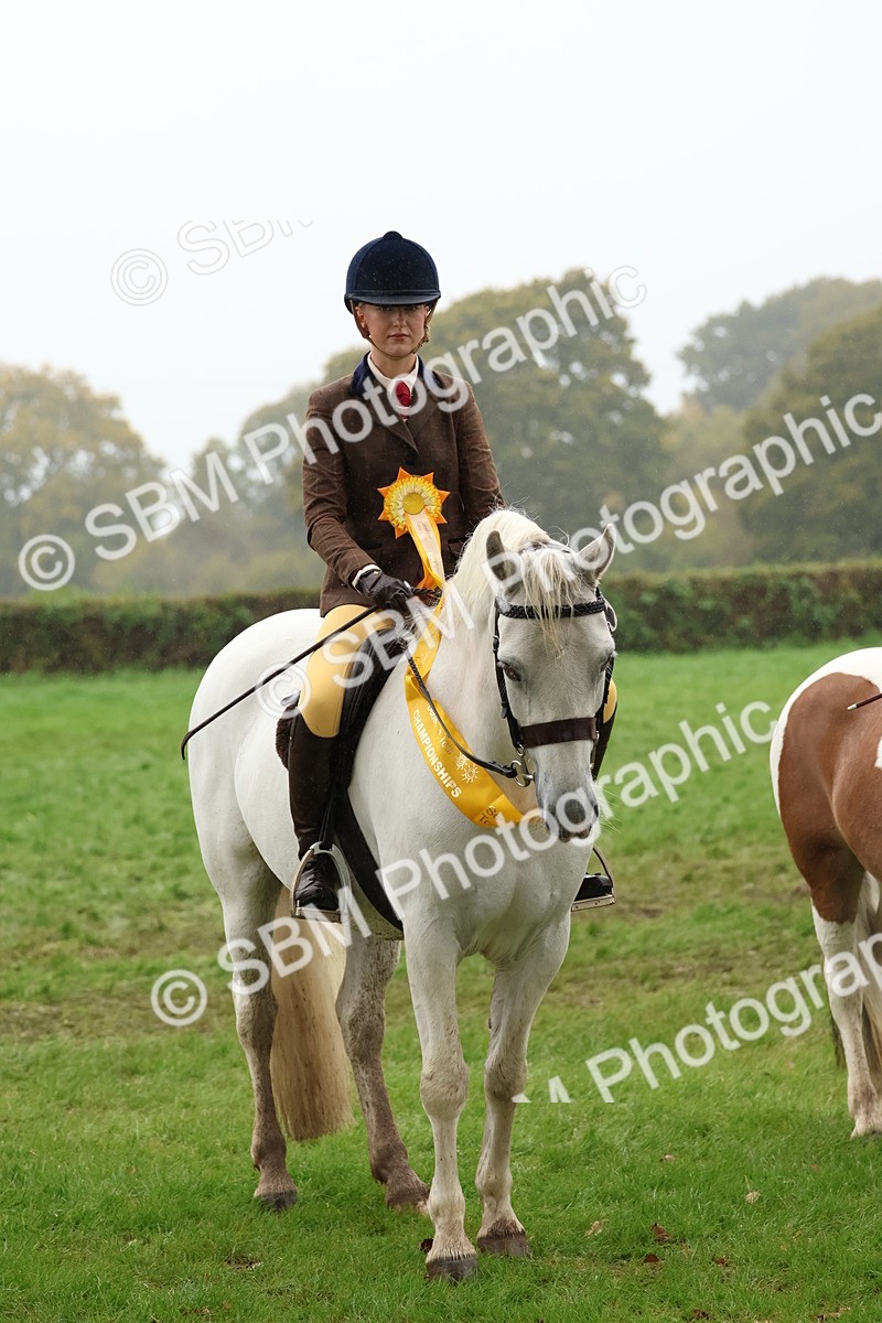 SBM_73141 - Ridden Pony Supreme Championship