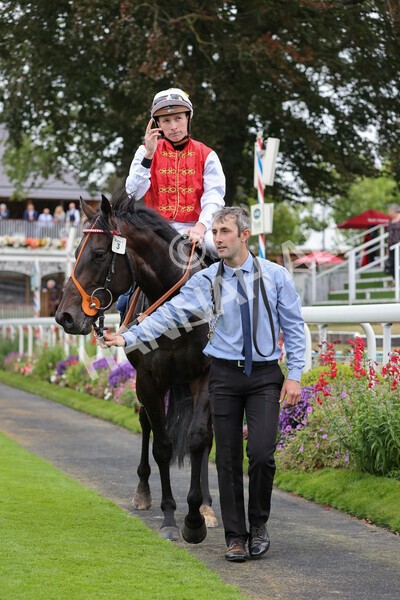 yr24092021r2-37 - Race 2 2.05pm William Hill Extra Places Races Stakes