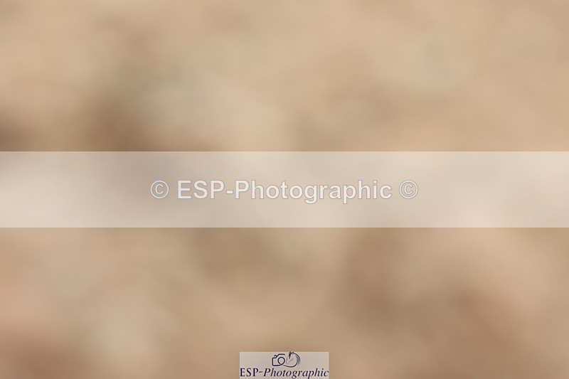 240622A-111503-09452 - Cls 27 BD Novice 37A