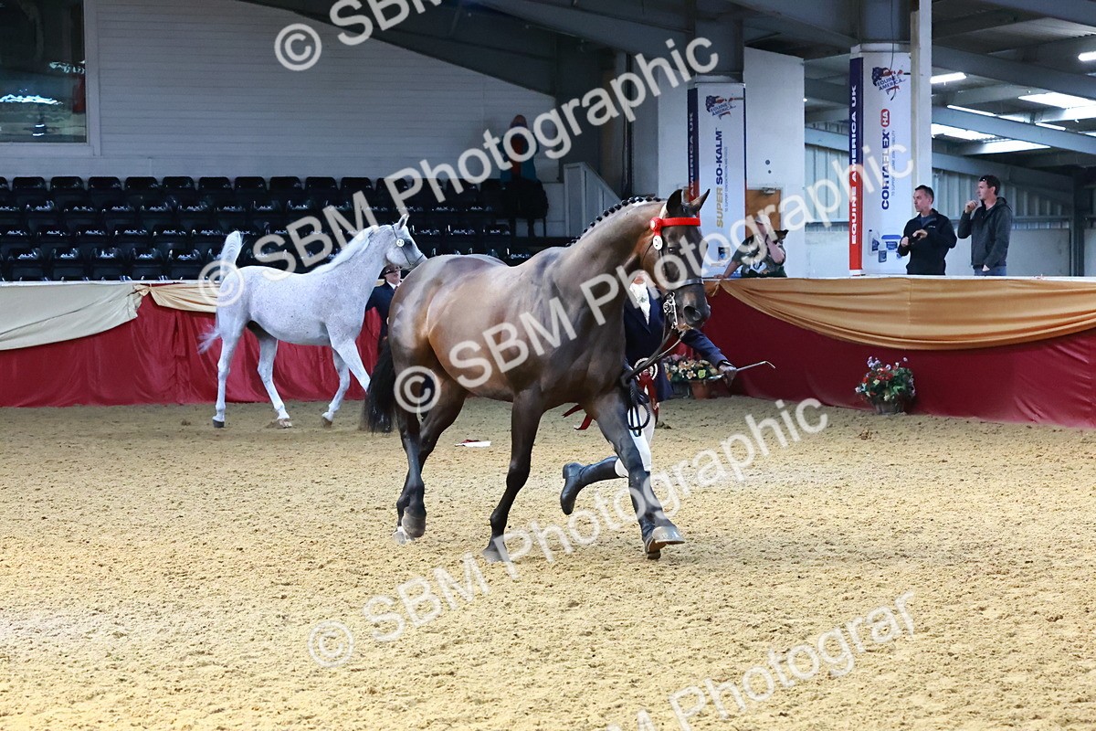 SBM_22448 - Class 902 - Supreme Final - IH Diamond