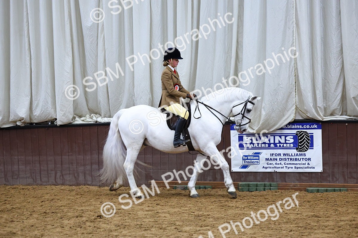 SBM_005573 - M&M Novice WHP Championship