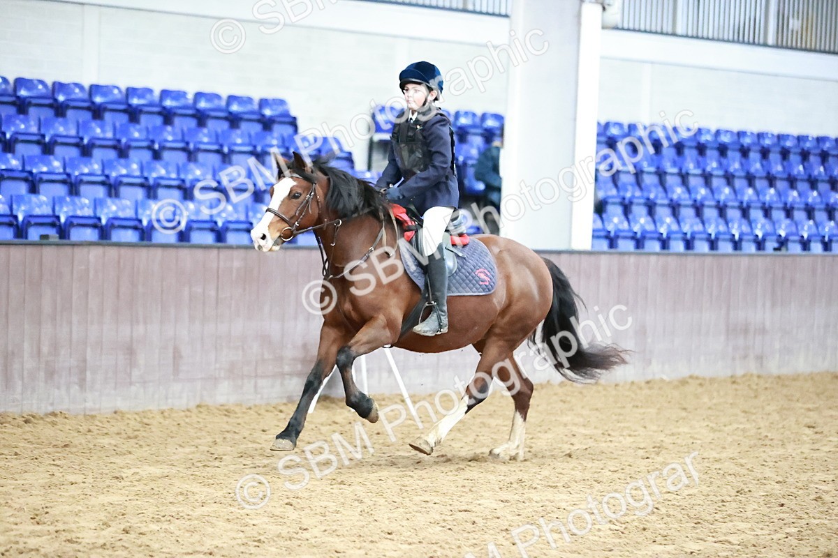 SBM_000432 - Class 2 - Show Jumping 50cm