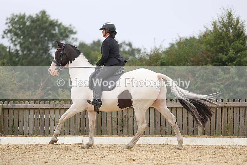 3E7A7070 - Class 7: Novice 4 2024 Section B