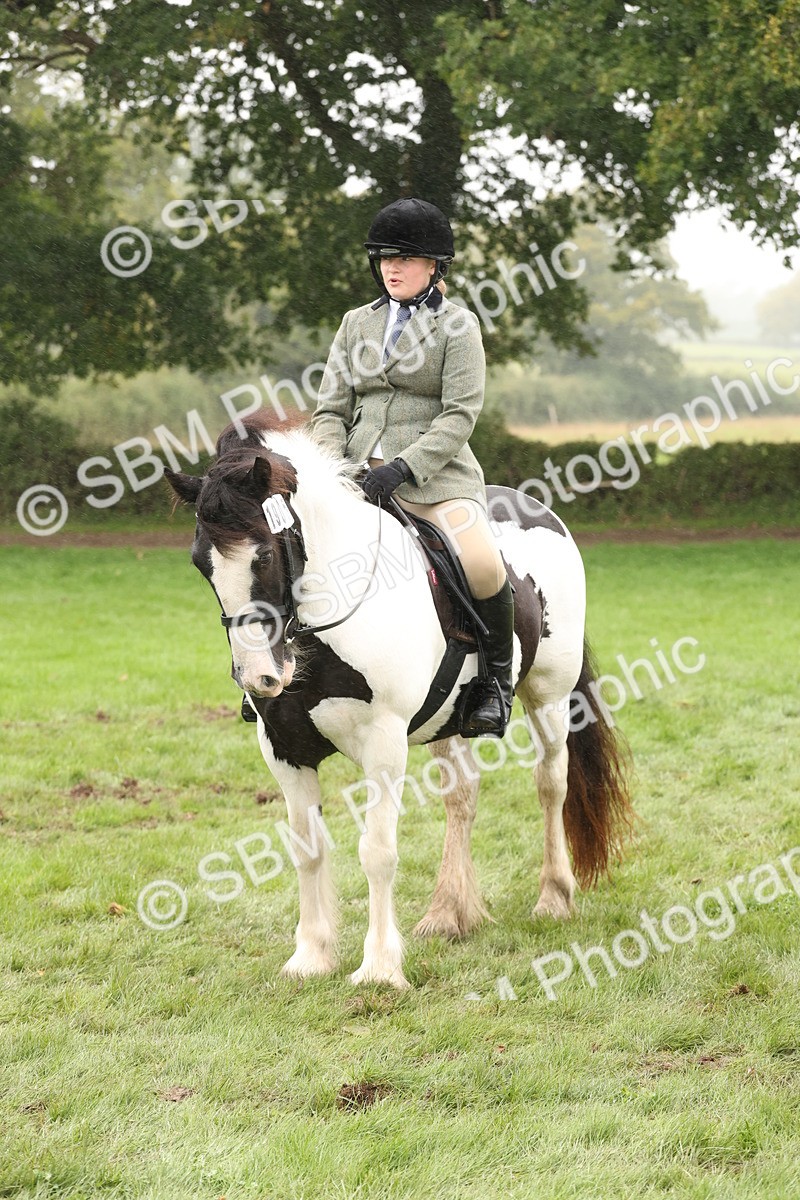 SBM_72753 - S70 - Traditional Cob Ridden