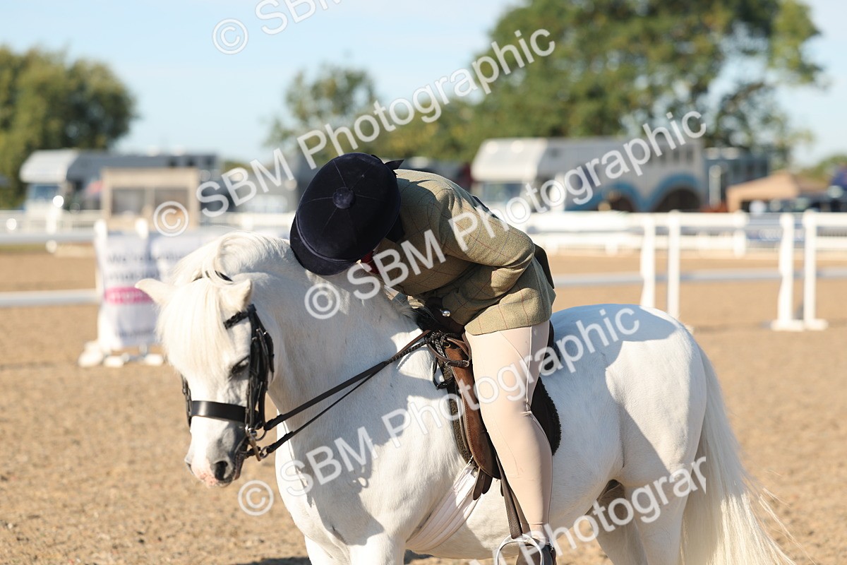 SBM_10925 - Class 301 - Ridden M&M Small Breeds