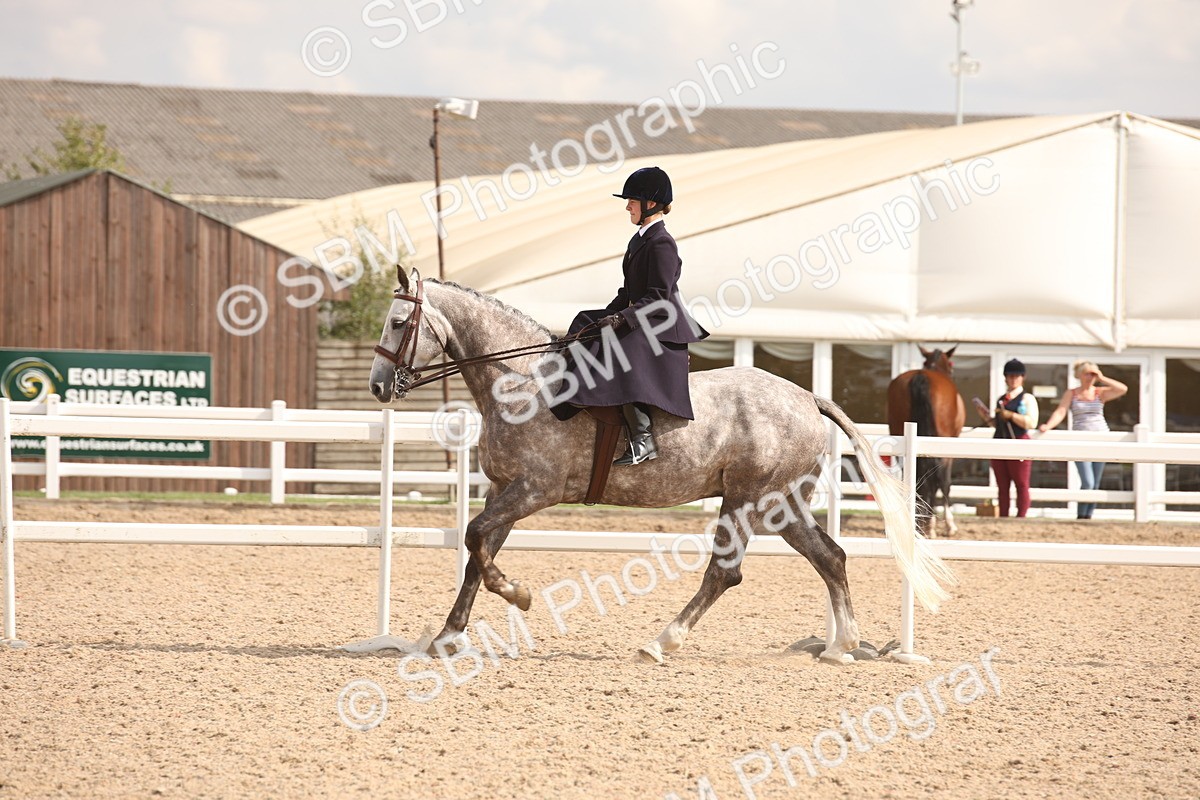 SBM_06731 - Class 24 Concours d'elegance