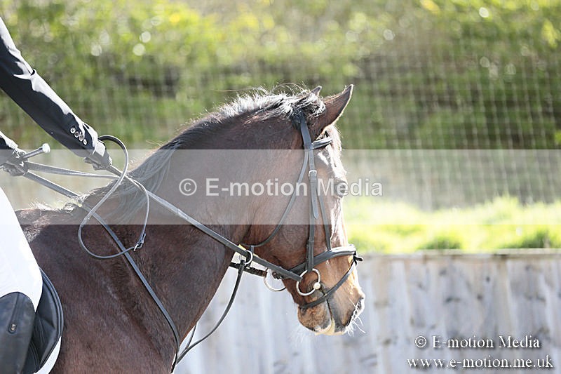 BVRC SJ 170319 58 - Bourne Valley Riding Club Showjumping 17/03/19