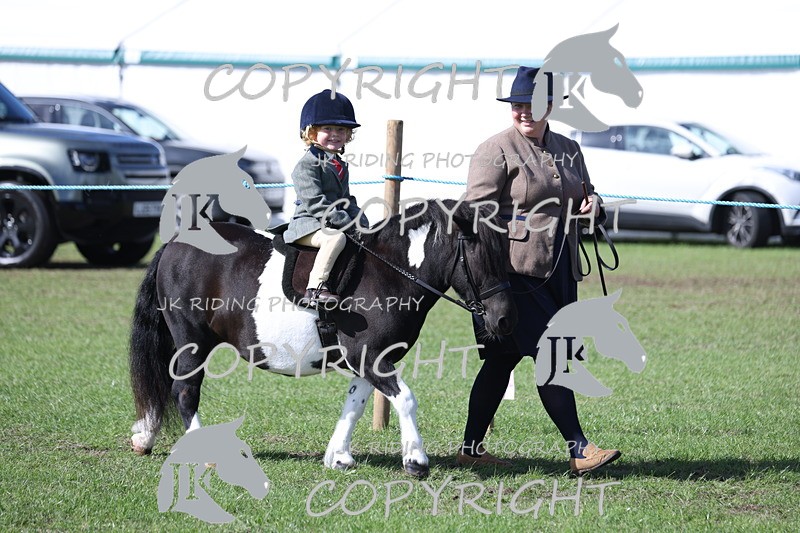 APP_3798 - Class 13 Lead rein