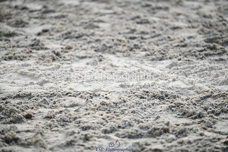 251004A-091715-00129 - Classes 1-2-3 40cm