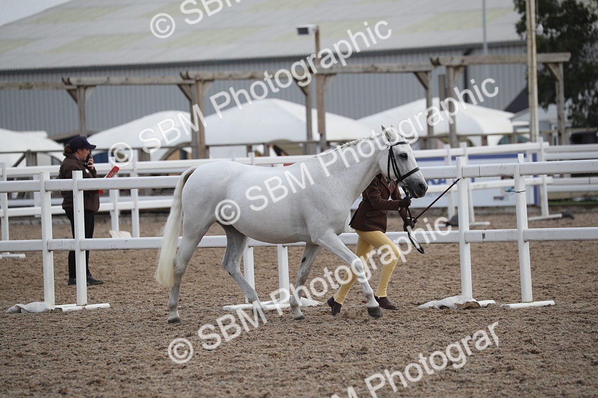 SBM_23077 - Class 605 - 2025 Area - IH Veteran