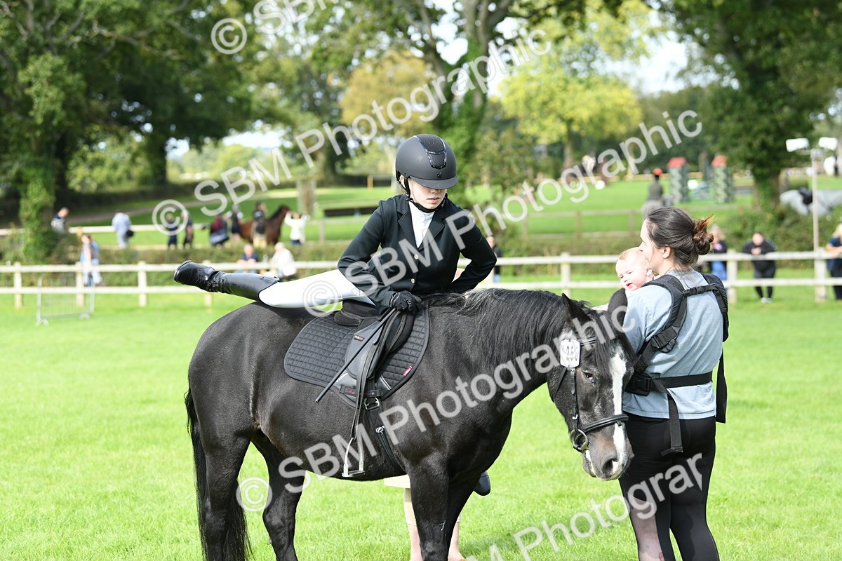 SBM_46836 - S12 - Family Horse & Pony
