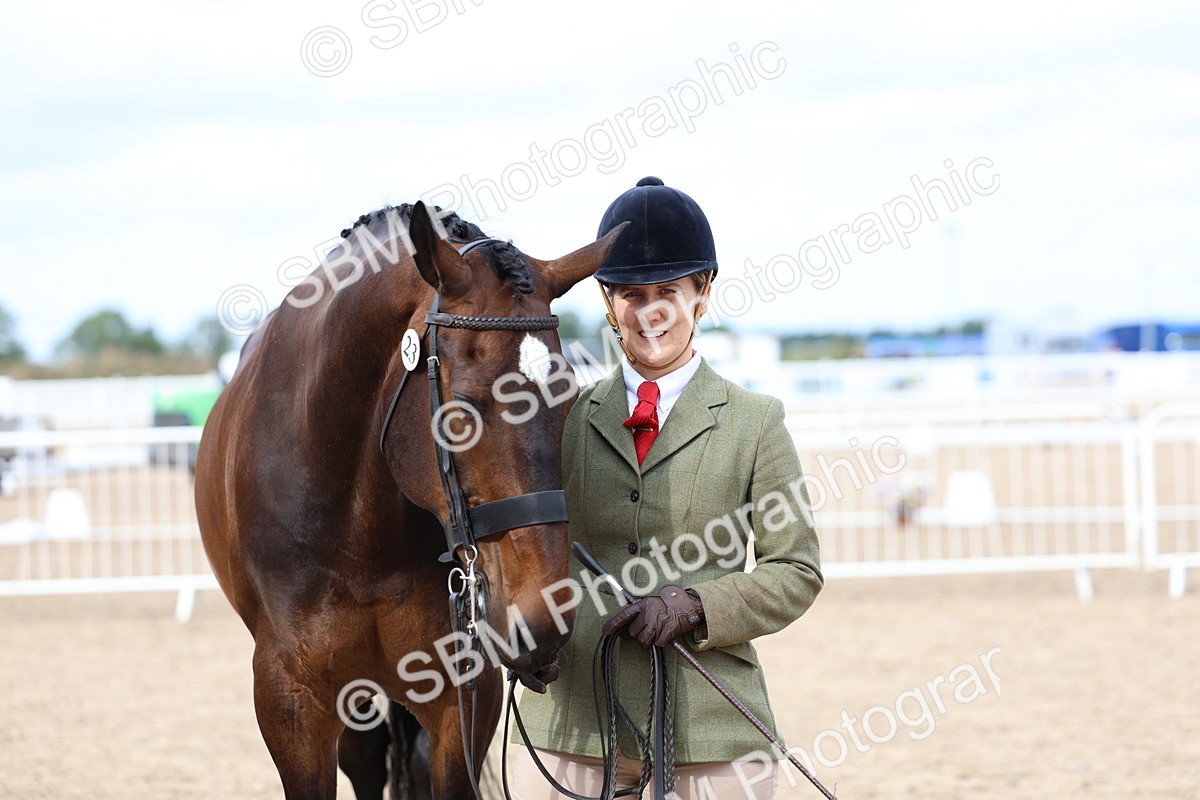 SBM_05766 - Class 28 - IH Veteran Horse