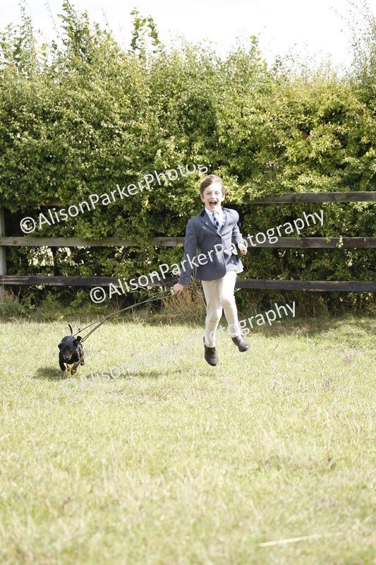 20250831-3752 - Dog Show