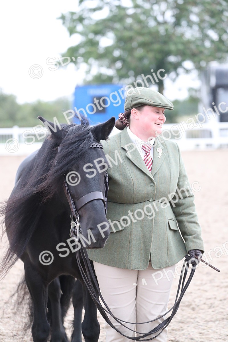 SBM_17996 - Class 317 IH Pure bred Horse/Pony