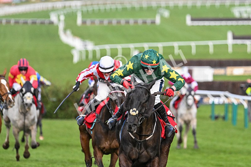 120325-Race 4-Stumptown-7028 - 12th March