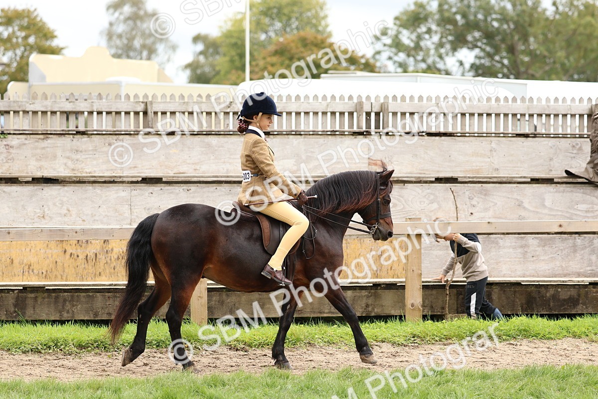 SBM_67345 - S61 - Mountain & Moorland Ridden