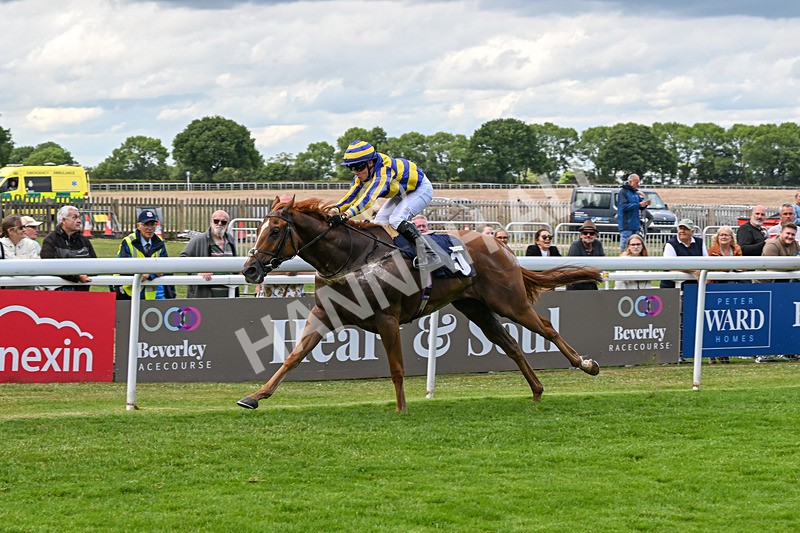 240625-Race 7-Azuinthejungle-9365 - Race 7