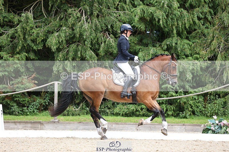 230812-151223-05075 - Cls 5 Novice Bronze 15.00 to End