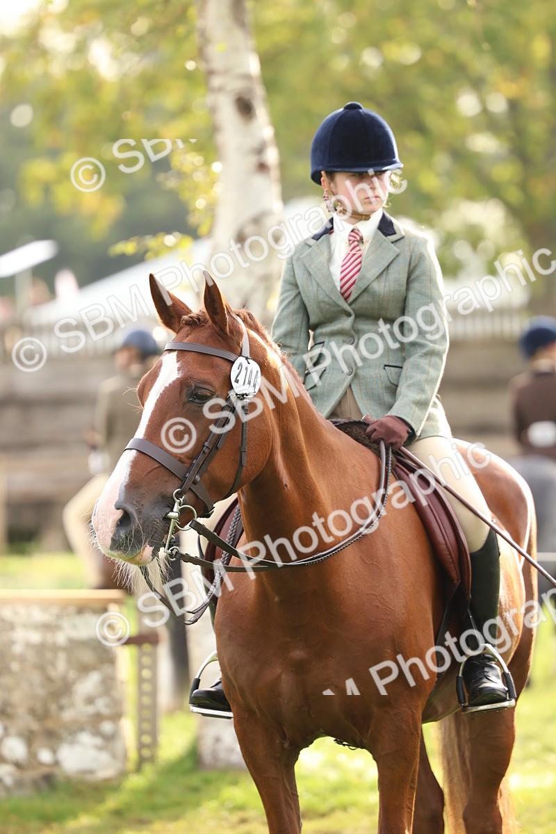 SBM_56626 - S40 - Starters Ridden Showing