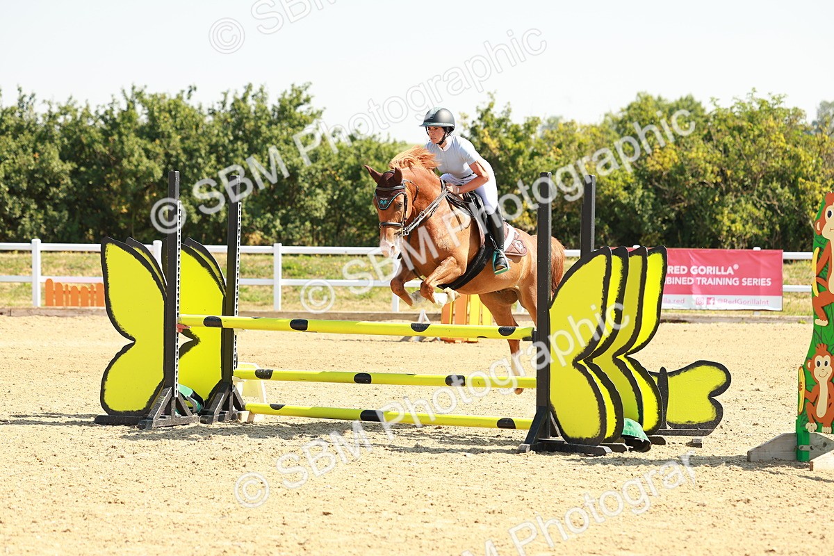 SBM_000035 - Class 2 - Senior British Novice - 90cm