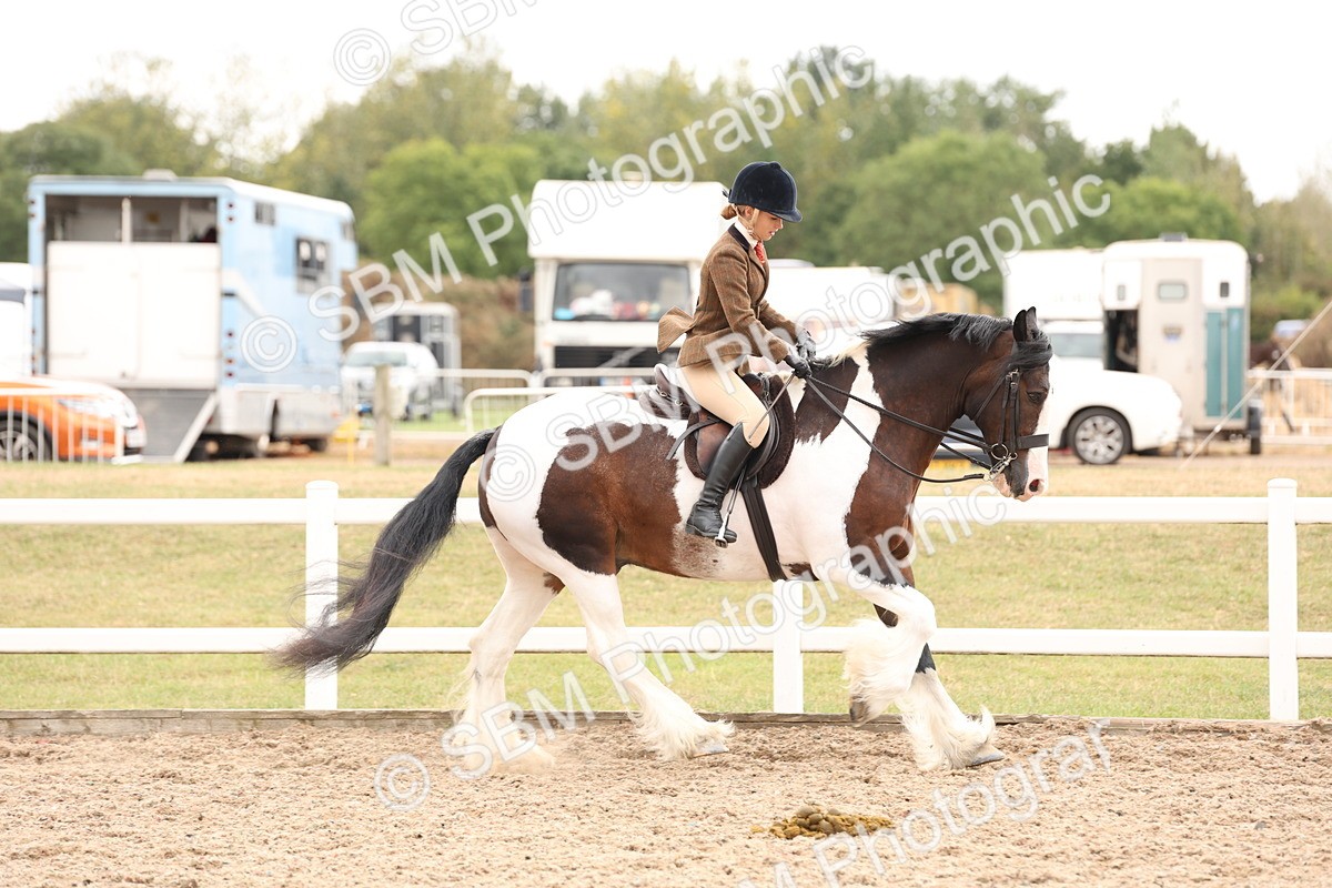 SBM_19661 - Class 216 - Ridden Traditional - Native Cob