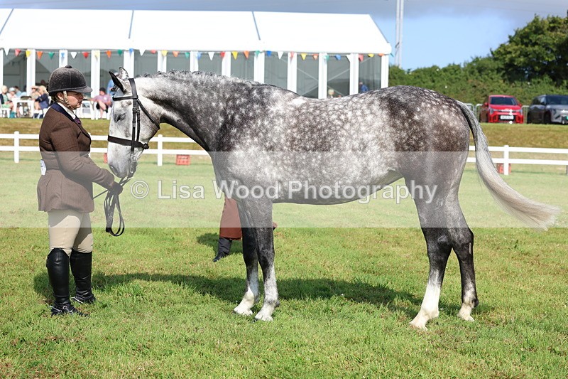 3E7A9078 - Class 3: Rising Star S/L Hunter