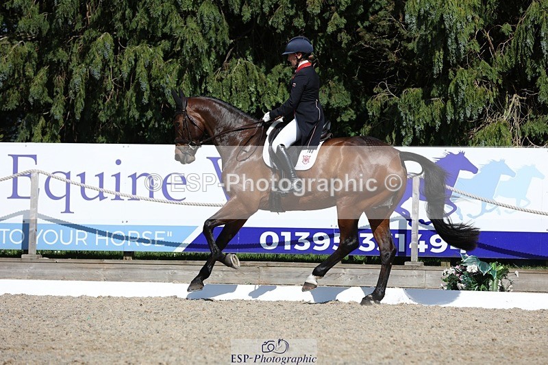 230526-160655-07757 - 168-PARKFIELD_ARTIE_BLOU-Laura_Collett-WEDTrotUp+DR