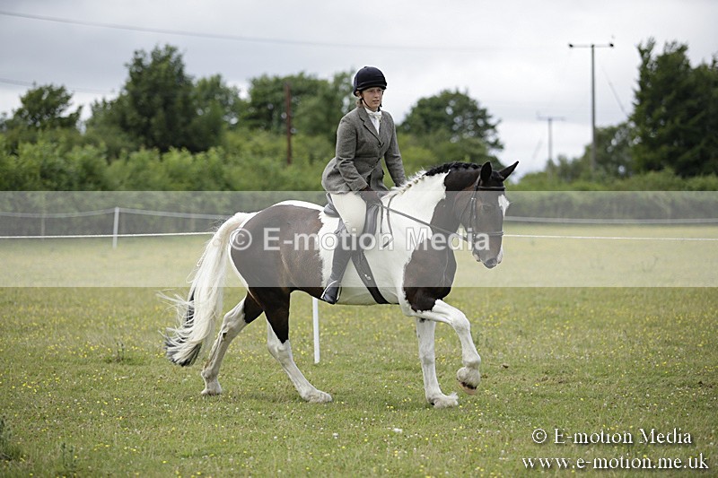 BVR160717-1883 - Ring 1 BVRC Show 16/07/17