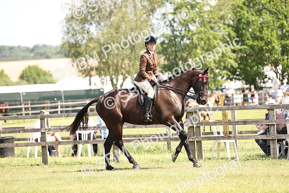 SBM_14874 - Class 78 - LIHS BSHA Open Racehorse & Show Horse
