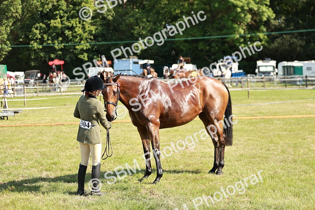 SBM_18908 - Class 114 - RIHS & SEIB Open Working Show Horse