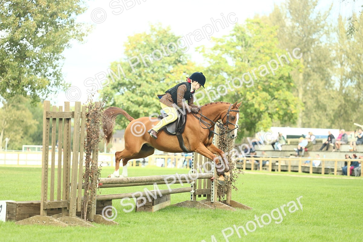SBM_44633 - S31 - Working Hunter Pony