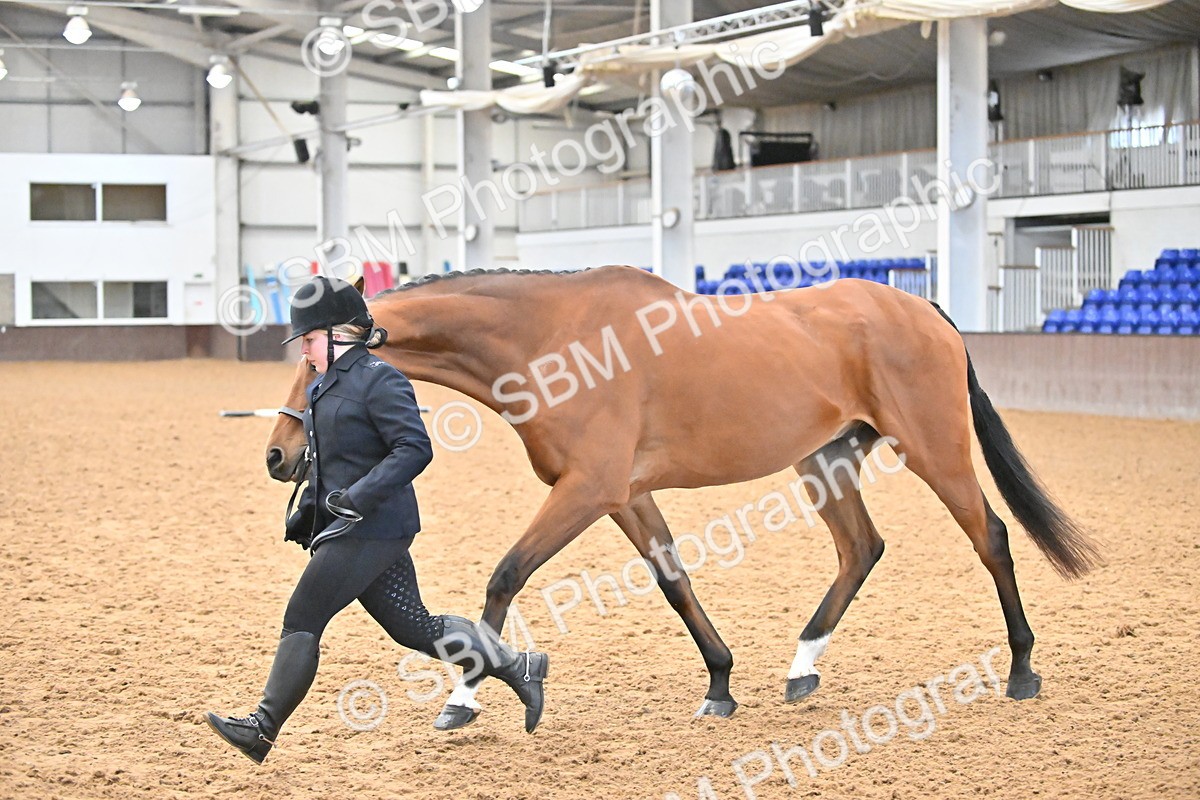 SBM_000152 - Class 6 - BSHA In Hand Racehorse to Show Horse