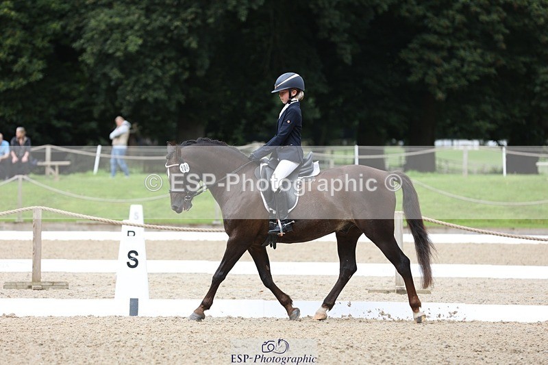 230812-103603-03269 - Cls 5 Novice Bronze Start to 10.55 break