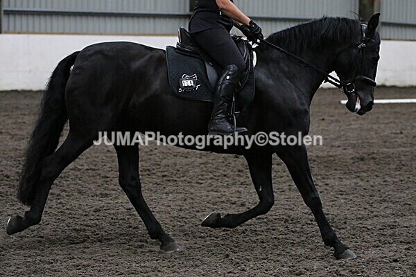 SIAL3969 - CAbin Dressage 5th july 2025
