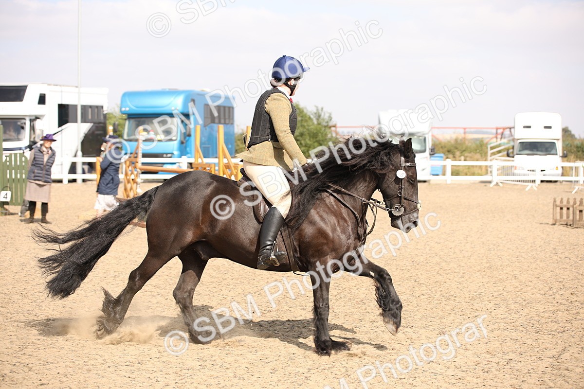 SBM_15003 - Class 408a - Working Veteran 70cm (15-19