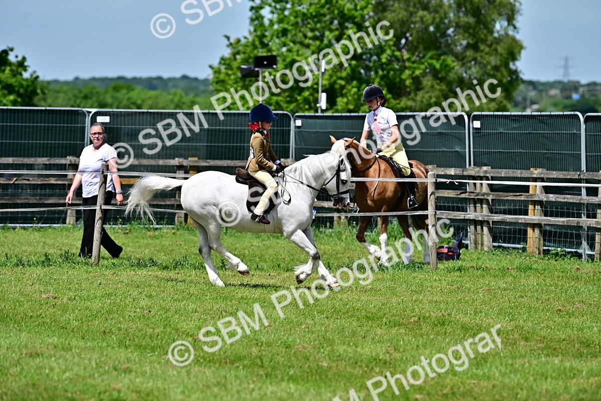 SBM_06088 - Class 59-60 - TSR M&M  Lear Rein and First Ridden Amateur of the year