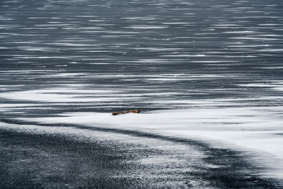 Frozen log - WINTER