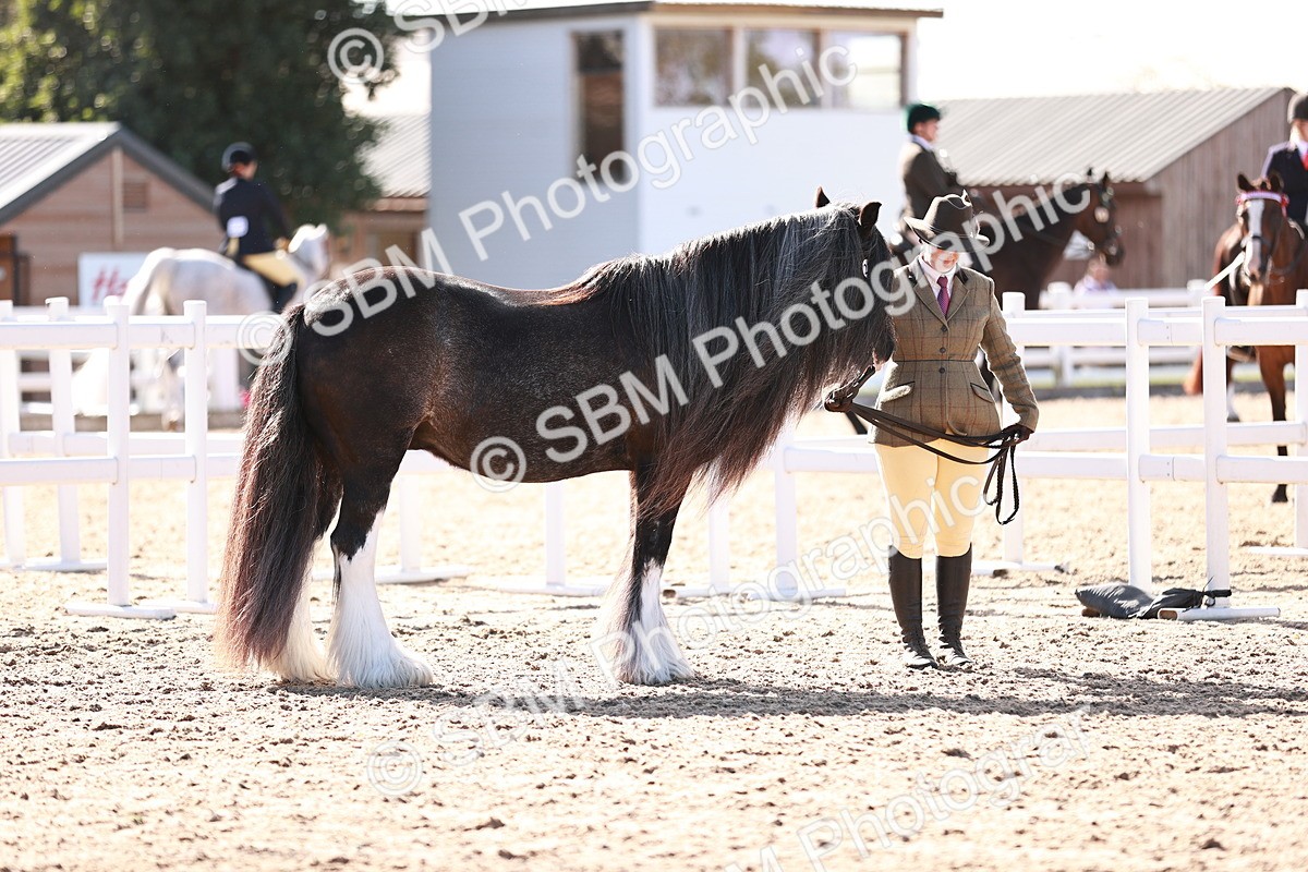 SBM_12569 - Class 404 - IH Traditional - Native Cob