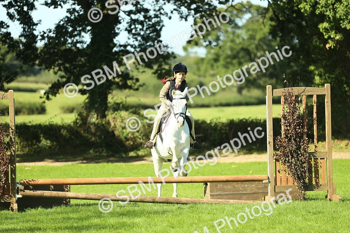 SBM_37503 - S29 - Novice & Newcomers Working Hunter Pony