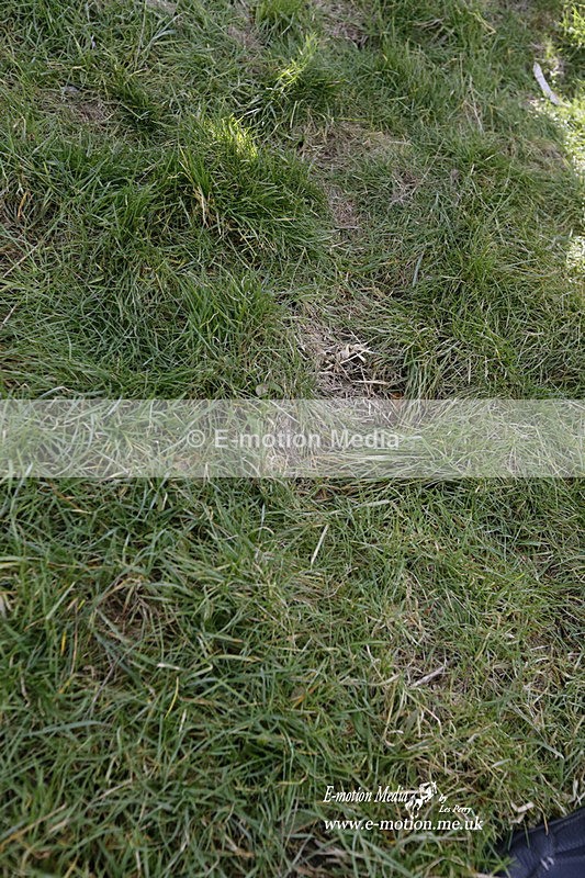 PtP 290123 0876 - Combined Services Point-to-Point  Presentations 05/02/23