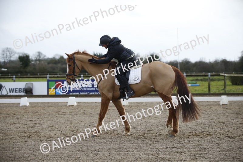 20260127-0347 - Class 16 - BD Novice 2