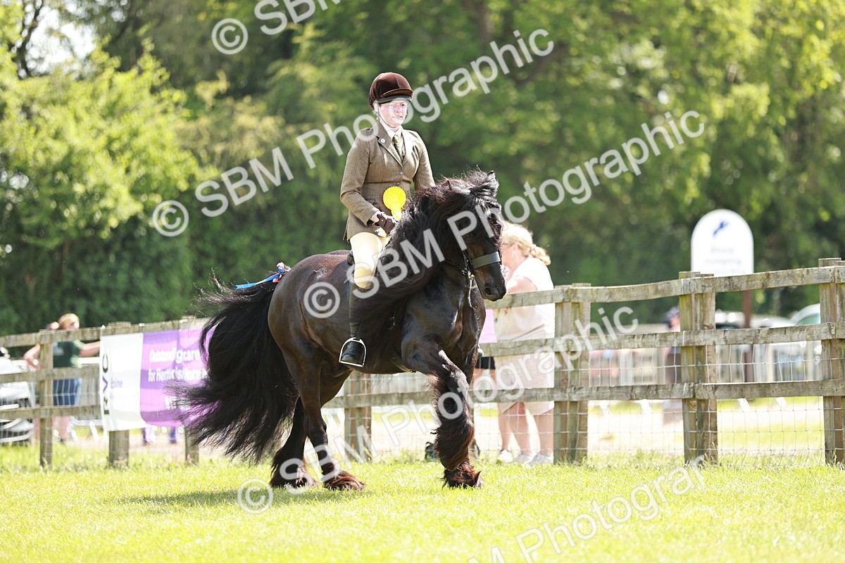SBM_07232 - Class 26-30 - Mountain and Moorland Ridden