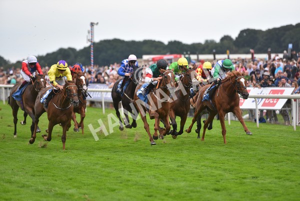 yr20082021r6-32 - Race 6 4.40pm Assured Data Protection British EBF Fillies' Stakes