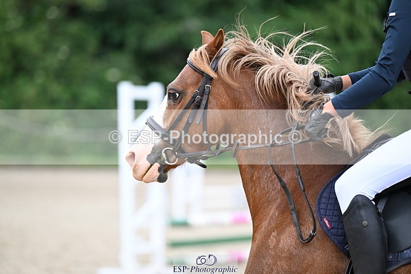 250622A-111455-01169 - 50cm