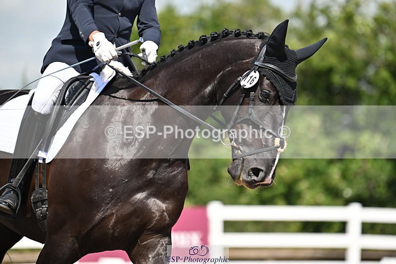 240621A-105703-01472 - Cls 4 BD Novice 22