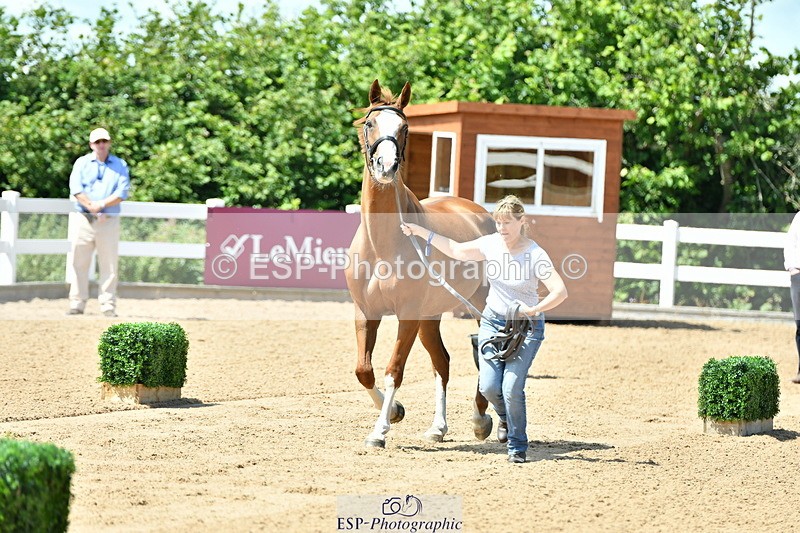 230719A-120633-00097 - Trot Up 12pm to 1pm