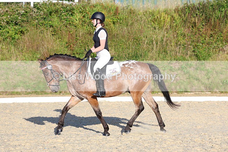 3E7A4016 - Class 3: Prelim 1 2024 Section A