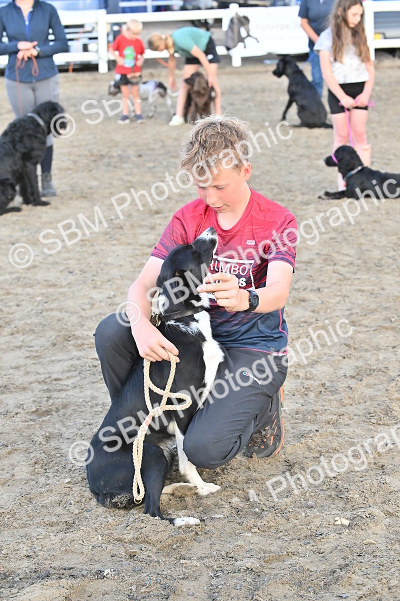 SBM_09631 - Lorry Dogs