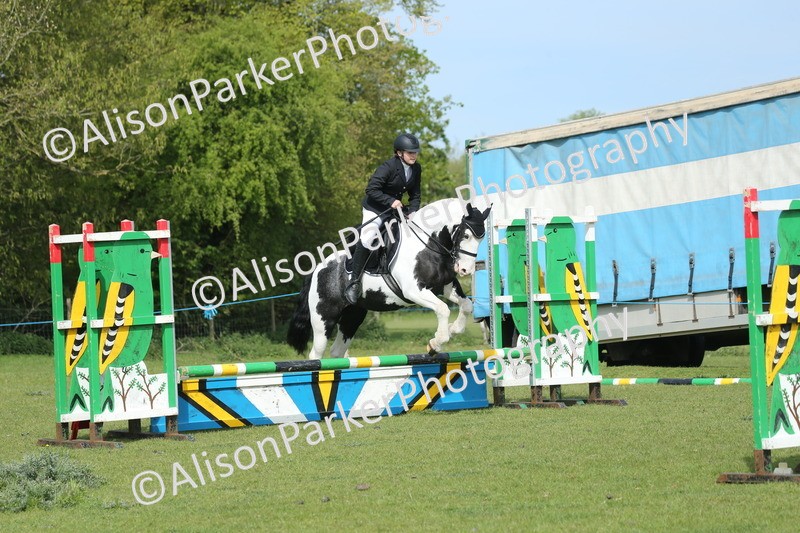 20260426-1462 - Class 14 - Novice 60cm